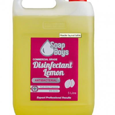 Disinfectant Lemon 5L-90910