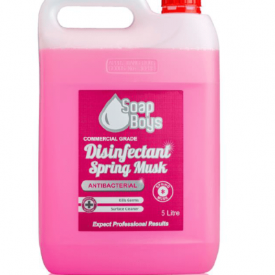 Disinfectant Spring Musk 5L-90999